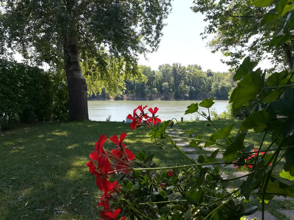 Tiszavirág Nyaralóház Szeged Exterior foto
